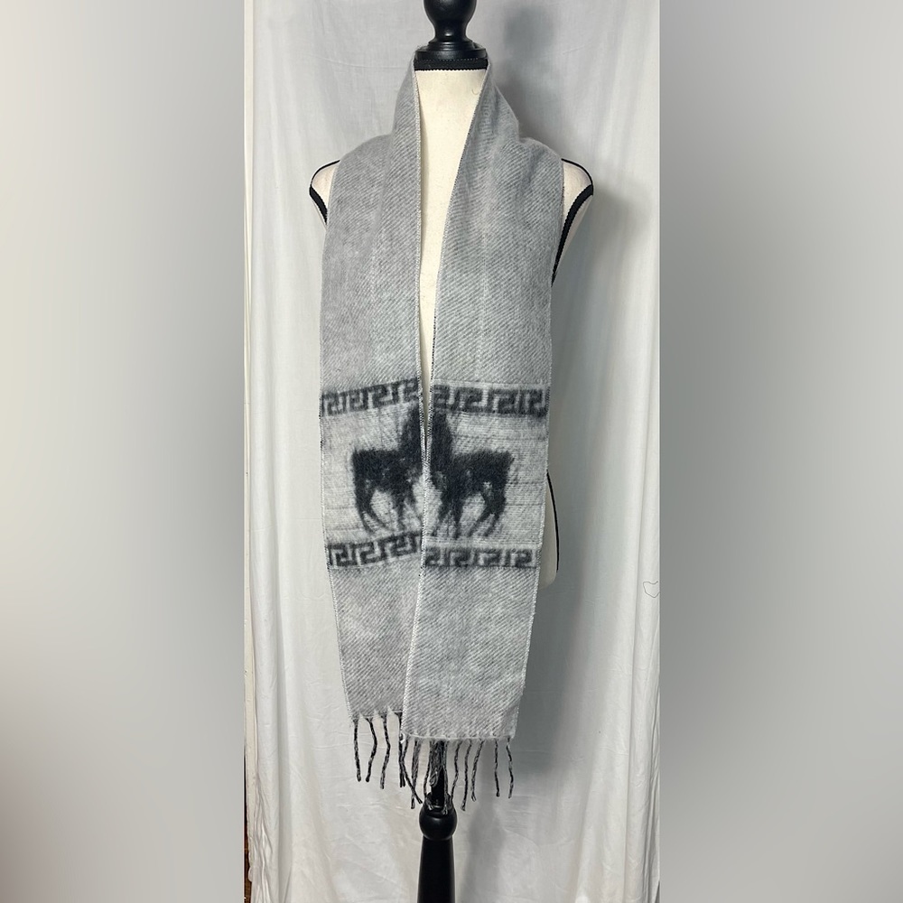 3/$20 💥 NWOT Soft & Cozy Scarf w/‎ Fringe